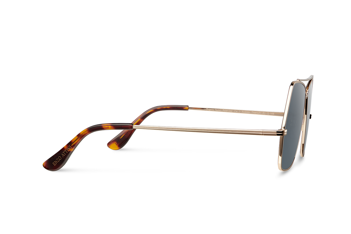 Lake Geneva / Tortoise & Gold Color + Dark Black Lens