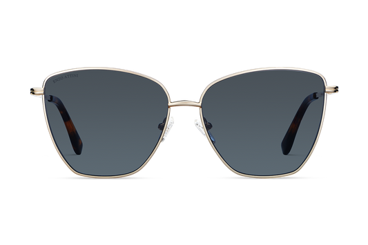 Louvre Museum / Tortoise & Gold Color + Dark Black Lens