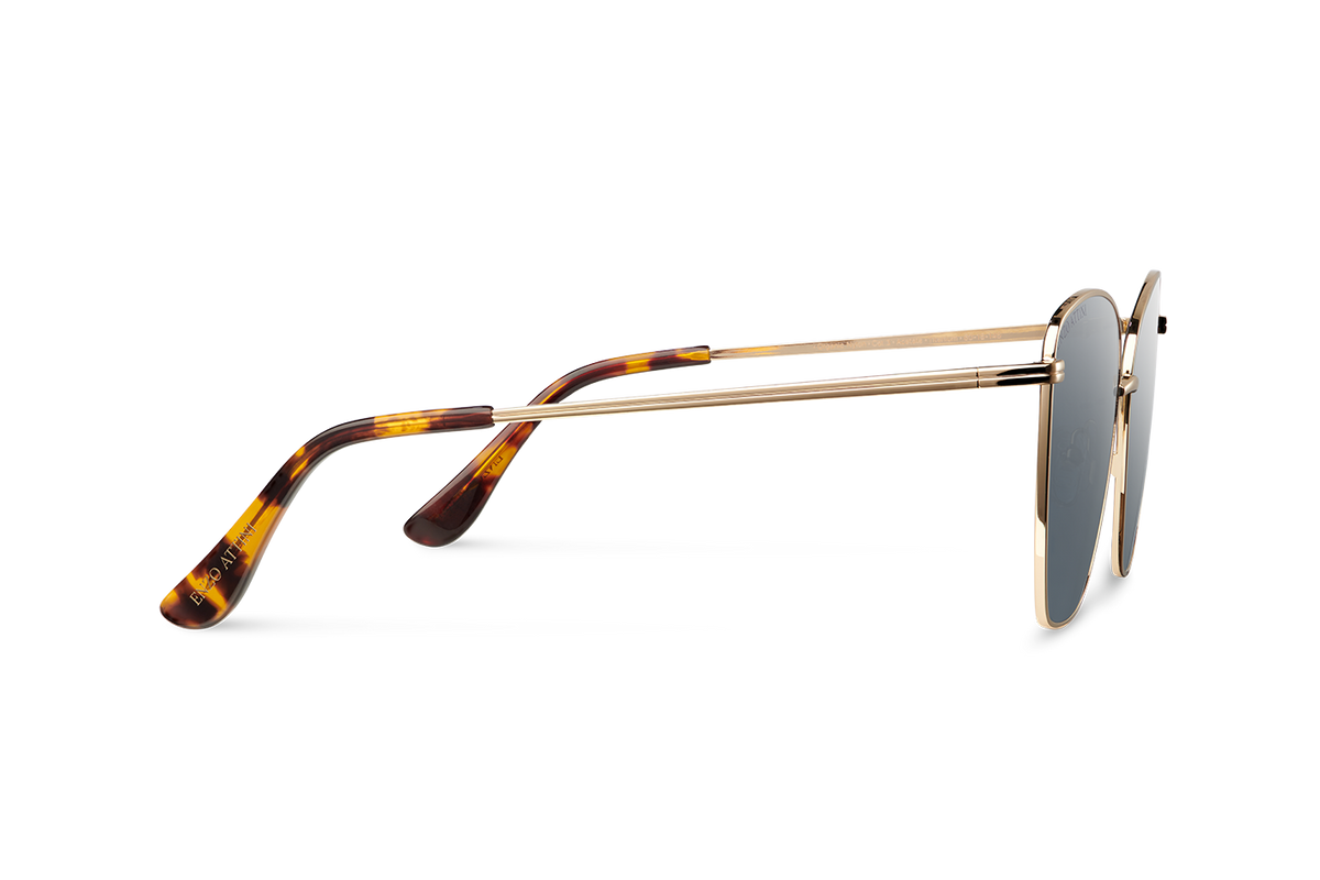 Louvre Museum / Tortoise & Gold Color + Dark Black Lens.